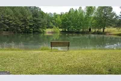 260 Lamar Smith Drive, Newnan, GA 30263 - Photo 3