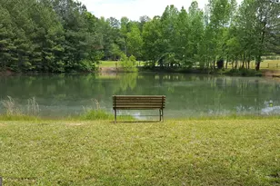 260 Lamar Smith Dr, Newnan, GA 30263 - Photo 3
