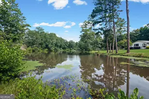 163 Sheppard Dr, Newnan, GA 30263 - Photo 41