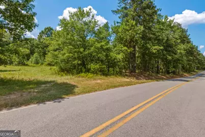 3431 Syrup Mill Crossing, Greensboro, GA 30642 - Photo 7