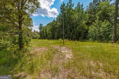 3431 Syrup Mill Crossing, Greensboro, GA 30642 - Photo 9