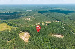 3431 Syrup Mill Crossing, Greensboro, GA 30642 - Photo 1
