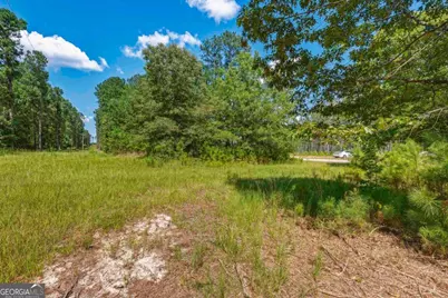 3431 Syrup Mill Crossing, Greensboro, GA 30642 - Photo 11