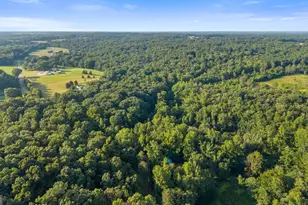 973 Floyd Rd, Danielsville, GA 30633 - Photo 63
