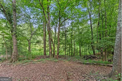973 Floyd Road, Danielsville, GA 30633 - Photo 57