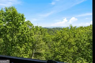 161 Huntington Way, Blue Ridge, GA 30513 - Photo 61