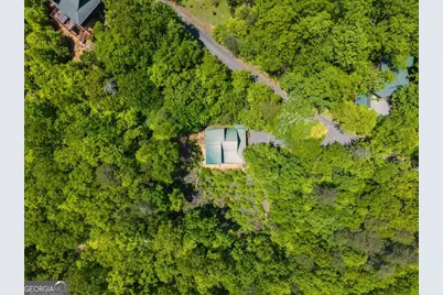 161 Huntington Way #8, Blue Ridge, GA 30513 - Photo 59