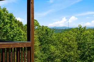 161 Huntington Way, Blue Ridge, GA 30513 - Photo 3