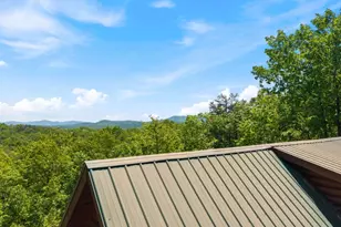 161 Huntington Way, Blue Ridge, GA 30513 - Photo 57