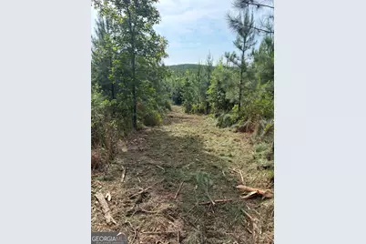 0 John Kay Road, Taylorsville, GA 30178 - Photo 3
