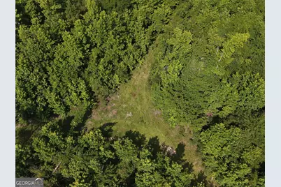 0 Highway 17, Midville, GA 30441 - Photo 3