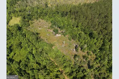 0 Highway 17, Midville, GA 30441 - Photo 13