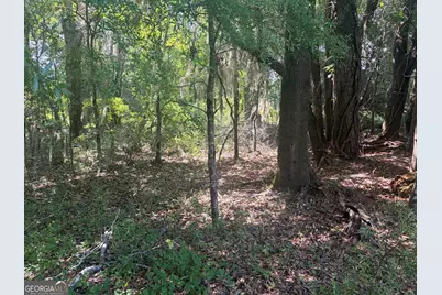 0 Highway 17, Midville, GA 30441 - Photo 17