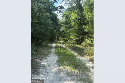 0 Highway 17, Midville, GA 30441 - Photo 21