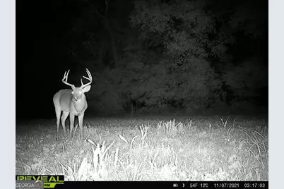 0 Highway 17, Midville, GA 30441 - Photo 31