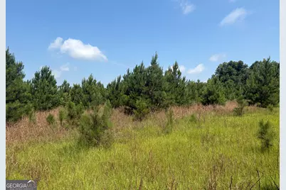 0 Highway 17, Midville, GA 30441 - Photo 35