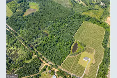 0 Jo Dan Road, Register, GA 30452 - Photo 3