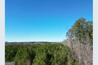 0 Jaudon Road #(30.03 ACRE LOT), Elberton, GA 30635 - Photo 3