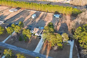 133 Windmill Plantation Dr, Statesboro, GA 30461 - Photo 43