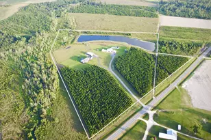 2495 &amp 2493 Broxton Hwy, Denton, GA 31532 - Photo 7