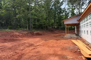 291 Russellville Rd, Forsyth, GA 31029 - Photo 3