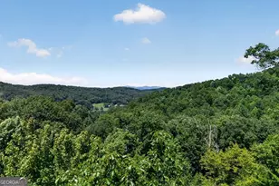 573 Weaver Creek Way, Blue Ridge, GA 30513 - Photo 27
