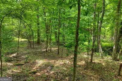 0 Scots Glen Road, Mineral Bluff, GA 30559 - Photo 11
