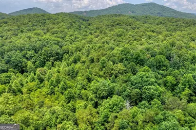0 Scots Glen Road, Mineral Bluff, GA 30559 - Photo 19