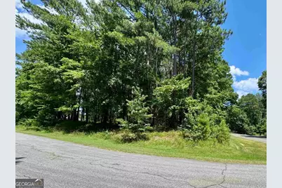 2001 Pine Valley Court, Greensboro, GA 30642 - Photo 3