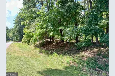 2001 Pine Valley Court, Greensboro, GA 30642 - Photo 7