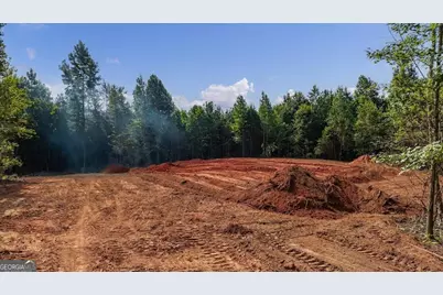 0 Shirey Dairy Road, Carrollton, GA 30117 - Photo 17