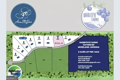 Lot 8 Haynes Road, Moreland, GA 30259 - Photo 1