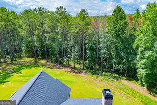 1800 Hutcheson Ferry Rd, Whitesburg, GA 30185 - Photo 91
