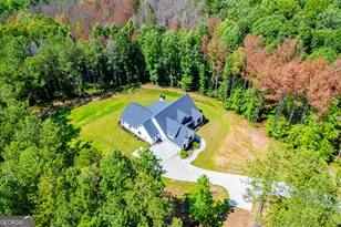 1800 Hutcheson Ferry Rd, Whitesburg, GA 30185 - Photo 89