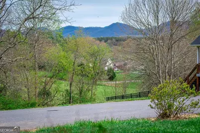 164 Owen Glen Drive, Blairsville, GA 30512 - Photo 53