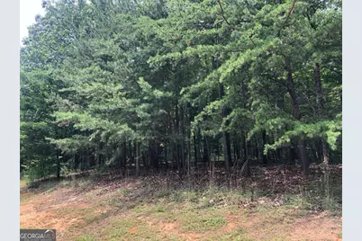1613 Duchess Lane, Clarkesville, GA 30523 - Photo 25