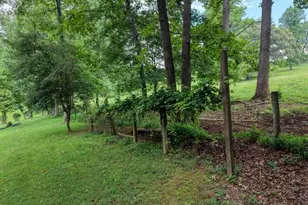 107 Warners Way, Blairsville, GA 30512 - Photo 37
