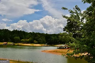 257 Lake Pl Dr, Lavonia, GA 30553 - Photo 43