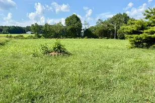 1099 Swain Rd, Commerce, GA 30530 - Photo 3