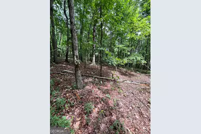 00 White Stone Dr, Cleveland, GA 30528 - Photo 45