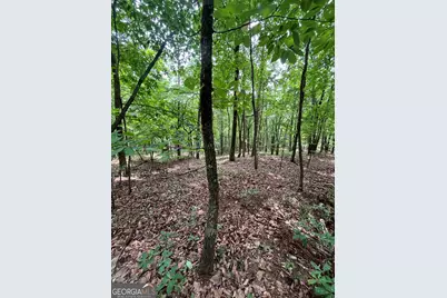 00 White Stone Dr, Cleveland, GA 30528 - Photo 21