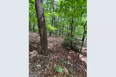 00 White Stone Dr, Cleveland, GA 30528 - Photo 37