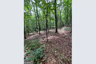 00 White Stone Dr, Cleveland, GA 30528 - Photo 33