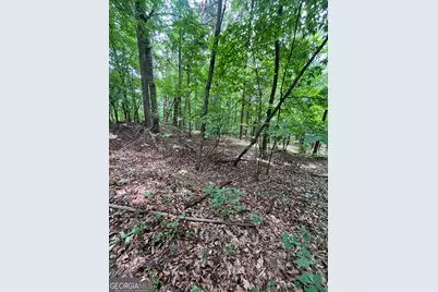 00 White Stone Dr, Cleveland, GA 30528 - Photo 25