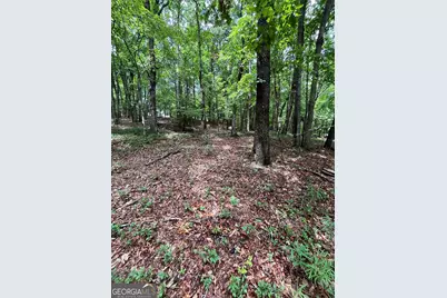 00 White Stone Dr, Cleveland, GA 30528 - Photo 41