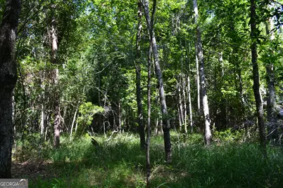 Bishop Canoochee Road, Midville, GA 30441 - Photo 3