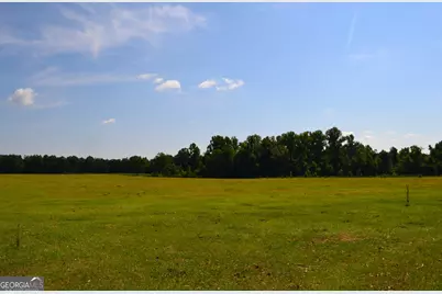 Bishop Canoochee Road, Midville, GA 30441 - Photo 1