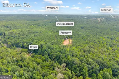 Lot 5 Mill Street, Elberton, GA 30635 - Photo 11