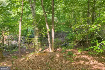 Lot 5 Mill Street, Elberton, GA 30635 - Photo 23
