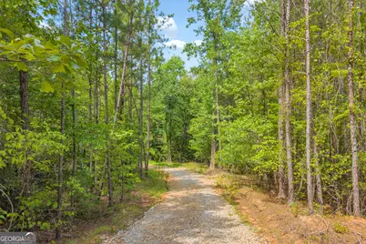 Lot 5 Mill Street, Elberton, GA 30635 - Photo 7